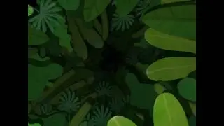 Jungle Loop