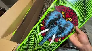 Mike Vallely Elephant Powell Peralta