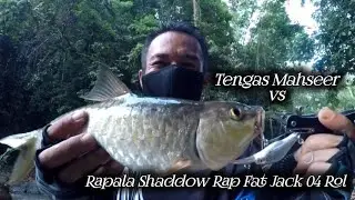 ‼️Pengembaraan Solo-Sambaran Tengas Mahseer Berhampiran Air Terjun-Jeram Extream-JSF🇲🇾2023-vlog188