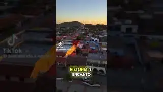 Rosa Morada Nayarit M&eacute;xico.❤️🇲🇽