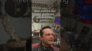 Obt bite! #fypage #funny #tarantulasoftheworld #obt #comedy #spiderlife #vincevaughn