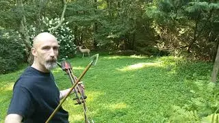 Testing broadheads. Solid 125 grains