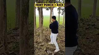 feint punch and Round kick #mma #kickboxing #martialarts #combatsport #youtubeshorts #tutorial