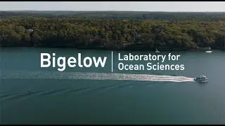 Bold Science for Our Blue Planet