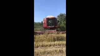 Bi&ccedil;erd&ouml;ver ile en zor hasat. laverda 2860 sanki can &ccedil;ekişiyor