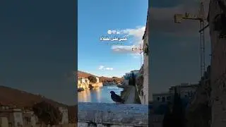 🌍🌍#viralvideo #duet #quranforpeace #love #tilawatworldbyworld #pakistan #beautiful #peacefulworld 🌍🌍
