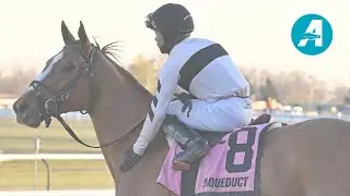 Talking Horses - November 22, 2025