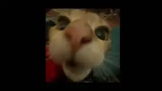 Giri giri dance (slowed+reverb)