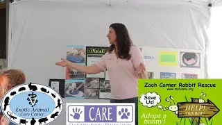 Elderly & Disabled Rabbits 3 - CARE Overview