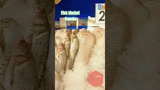 Danube Danube Fish Market #fishmarket #danubemarket #saudiarabia #ofw