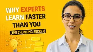 Why Expert Learn Faster Than YOU ?