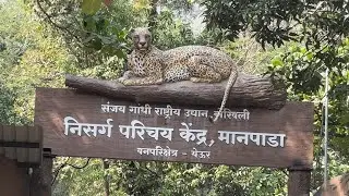 Hidden Birds of Yeoor Forest | Sanjay Gandhi National Park 