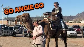 Camelpalooza Parade and RTR in Quartzsite