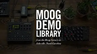Subharmonicon | How to Sync Using MIDI
