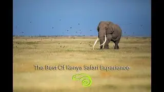 The Best Of Kenya Adventure