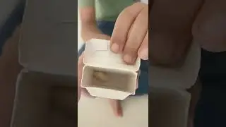 chew gum
