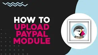 How To Upload The PayPal Module On PrestaShop (Quick Tutorial)