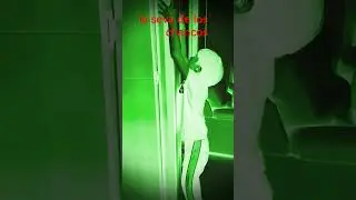 que raron est&aacute;n estos monos