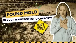 Found mold in your home inspection report? Don&rsquo;t panic