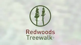 REDWOODS TREEWALK | ROTORUA | NEW ZEALAND