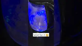 Electric kettle green tea🍵 #viral #shorts