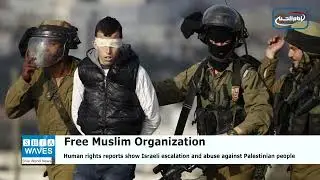 International Nonviolence demands the international community to take responsibility for Israeli vio