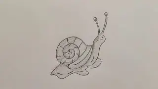 Realistic Snail Pencil Sketch| Step by Step Shading Tutorial| Beautiful Nature Art