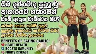 සුදුලූණු වල ගුණ, Sudulunu Guna,  Health Benefits  Garlic  සුදුලූණු වල  ප්&zwj;රයෝජන eating garlic daily,