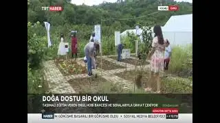 Okul değil meyve sebze bahçesi