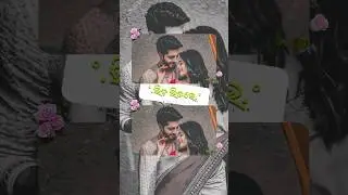 Premare Tora Premare Status |Odia Status | Dunia ra Bhida Bhitare #youtube #trending #love