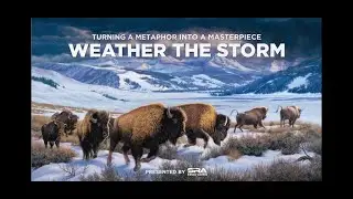 WEATHER THE STORM