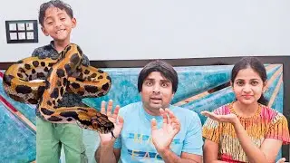 Isaac brought Anaconda 🐍 to House 🏠 | comedy video | funny video | Prabhu sarala lifestyle 