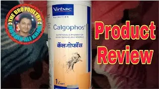 Calgophos product review | Virbac | Calgophos review | The Bro Poultry