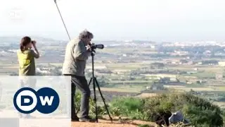 Malta: Hunt on migratory birds | Focus on Europe