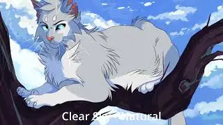 Warriors Theme Songs Part 1 For When You Don't Want Brightheart's as Scars To Your Beautiful