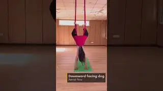 Aerial Yoga Rishikesh 2023 #aerialyoga #aerial #rishikesh #yoga #trending #ashortaday