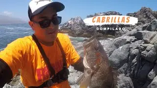 Compilado - Pesca de Cabrillas (Paralabrax Humeralis)