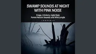 Pink Noise - Raindrops and Crickets in the Country, Loopable
