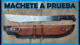 Comparando machetes económicos(Collins). Parte 2