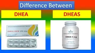 Difference Between DHEA and DHEAS