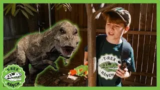 Tracking Baby T-Rex | @TrexRanch | NEW Superhero Cartoon for Kids | Moonbug Kids
