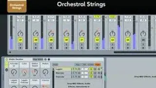 Orchestral Instrument Collection