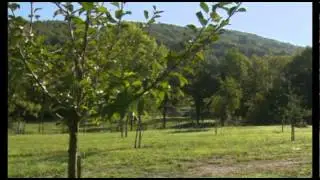 In der Gottschee/Kočevska 2011 2