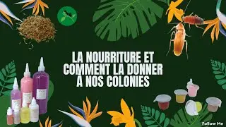 La nourriture et comment la donner &agrave; nos colonies.