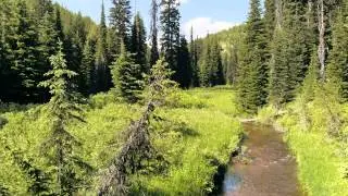 Glade Creek Campsite