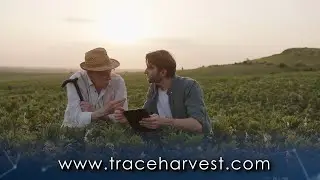 TraceHarvest Network for Food Safety & Compliance | BlockApps