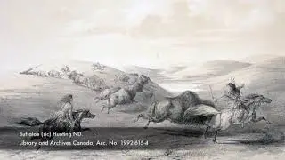 Introduction to History and Indigenous Studies 369