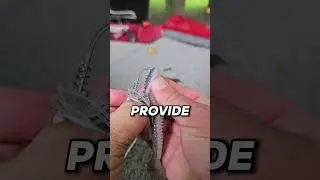 6th Sense Konda Finesse Swim Jig #bassfishing #6thsensefishing #swimbait