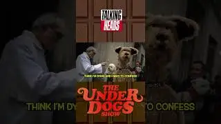 #talkingheads #parody #dogs #dogshorts