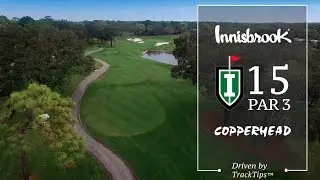The Copperhead Course at Innisbrook Resort -  Hole 15